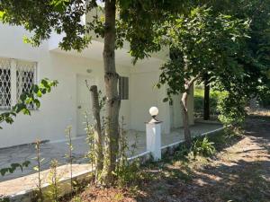 Natural White Messonette