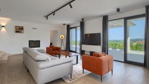 Luxury villa Arman with whirlpool in Visinada