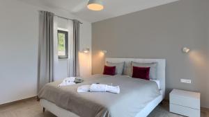 Luxury villa Arman with whirlpool in Visinada