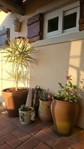 Casa com piscina e vista montanha Alenquer