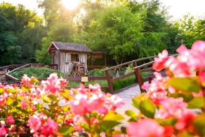 Forster Vadászkastély és Szálloda