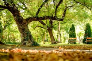 Forster Vadászkastély és Szálloda