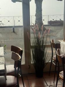 Gästezimmer Restaurant Valentino am See