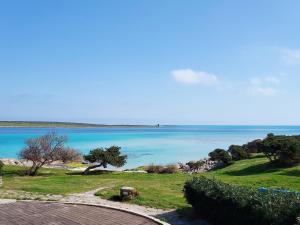 Comfortable flat with pool img21