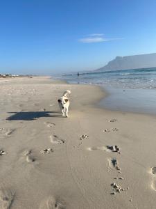 3-min walk from the beach - Studio