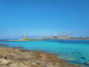 Spacious flat with pool img24