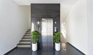 Treebo Global Orchid