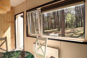 Ośrodek La La Las - domki letniskowe w lesie nad jeziorem