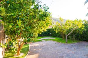 Appartamenti La Baia - ElbaHolidays