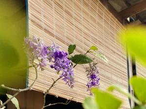 Here Library - A wooden home by the river with a library