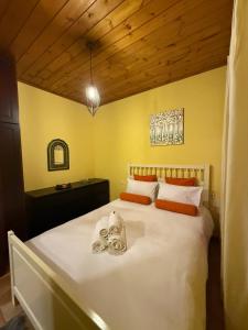 Horizon Nest Parnassos Villa Chalet!