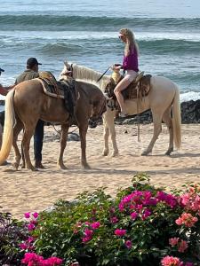 Quiet Oceanside Casita Private Kitchen & Bath