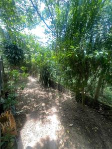 CASINHA de MADEIRA ACONCHEGANTE