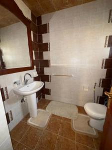 Spacious 3BR Apartment - heart of Heliopolis - 15 min from Airport and 2 min from Heliopolis Sport Club