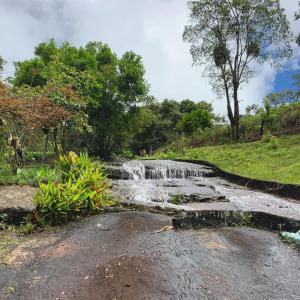 Sítio Reichart Atlantic Forest Retreat