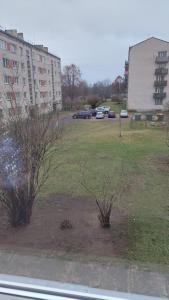 Ciemos pie Ingas Sedā