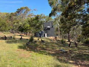 Richmond Wildlife Haven