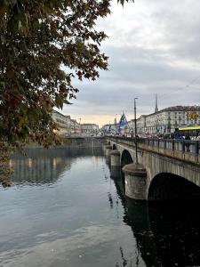 Panoramic apartment overlooking the Po River