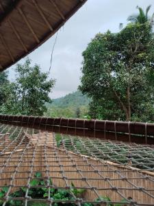 Hidden Bamboo Village