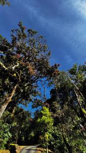 Entre Árboles Lodge