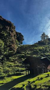 Entre Árboles Lodge