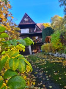 Sępia Chata dom do wynajęcia