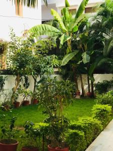 4-BR Shyam Villa for Families & Groups, near Fateh Sagar