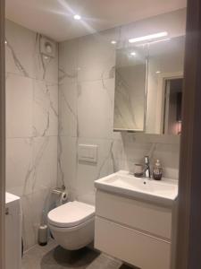 Furnished apartment with parking