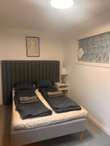 Furnished apartment with parking