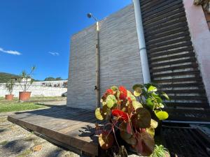 Beach Route Cachoeira