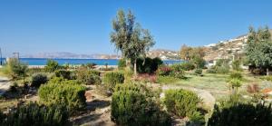 Beachfront Ios Villa