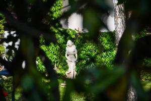 COMPLEX TISMANA 3*INCLUSIVE