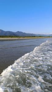 House with Atlantic Forest in the background - Saíra Sete Cores