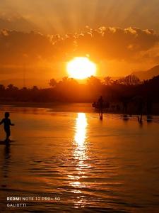 House with Atlantic Forest in the background - Saíra Sete Cores