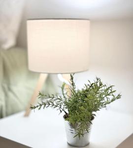 Woody Boutique 6 trendy flat by Homeful Homes