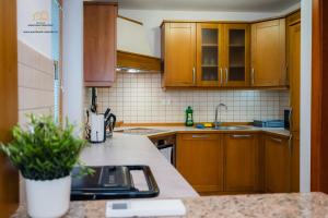 Spacious Apartment Senozece - with terrace & grill