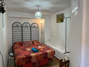 Habitación doble junior con terraza