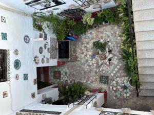 Habitación doble junior con terraza