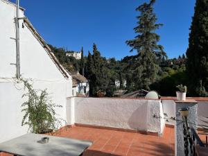 Habitación doble junior con terraza