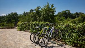 Modern villa Blanka with pool and grill in Tinjan