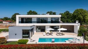 Modern villa Blanka with pool and grill in Tinjan
