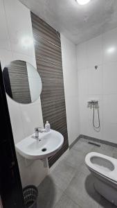 Small and Comfortable & Apartment