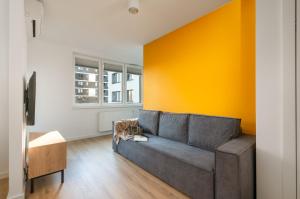 Pure Home Apartments - Gwiaździsta