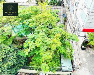 Khách sạn Trang Thư - Sư Vạn Hạnh - Quận 10