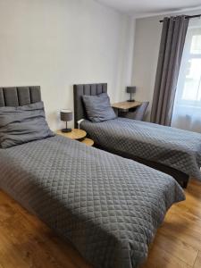 Apartament Royal Lux