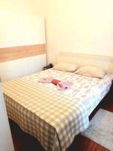 Stylish 2BR in Old Town Gem