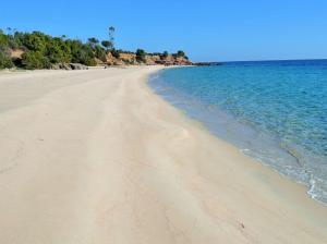 Modern house in a peaceful residence img27