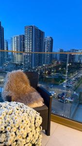 LUMIA Luxury-Balcony-Tower View-Parking