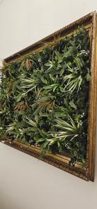 Vanilla Residence Bucharest