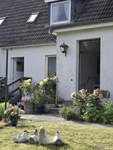 Ferienhaus "Ottos Hüs "